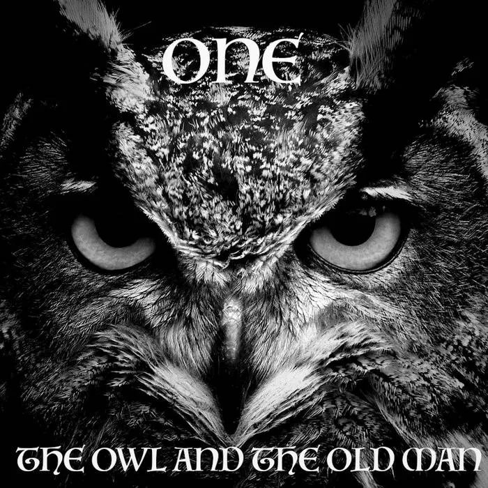 The Owl and the Old Man cover