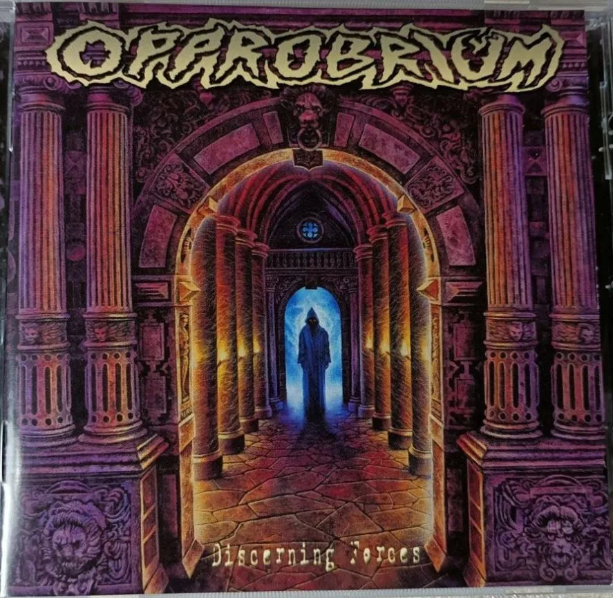 Discerning Forces cover