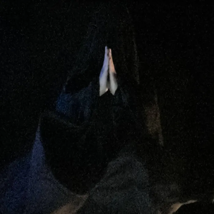 The Omnipotent cover