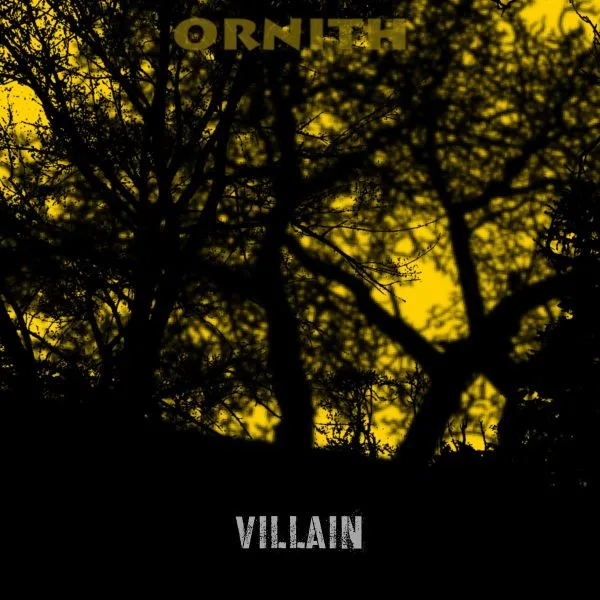 Villain cover