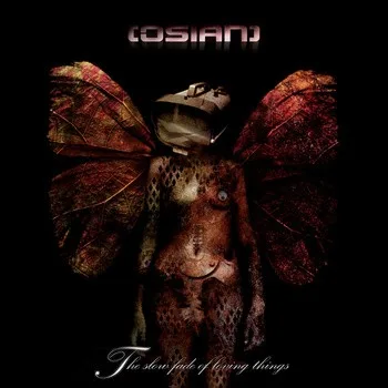 The Slow Fade of Loving Things cover