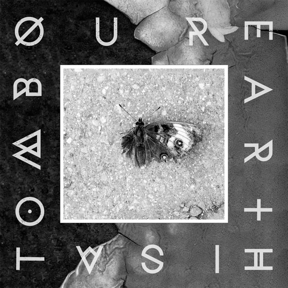 Moth. cover