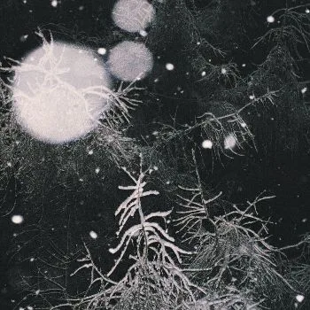 Over the Voids cover