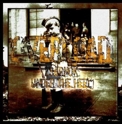 Zsarnok / Under the Heel cover