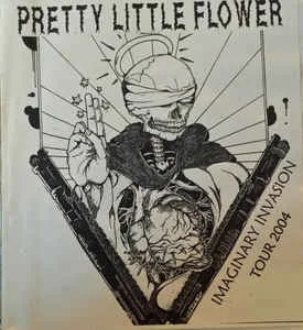 Imaginary Invasion Tour 2004 cover