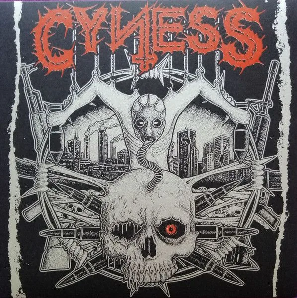 Cyness / PLF cover