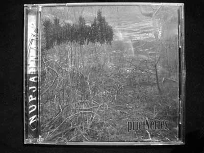 Prie Neries cover