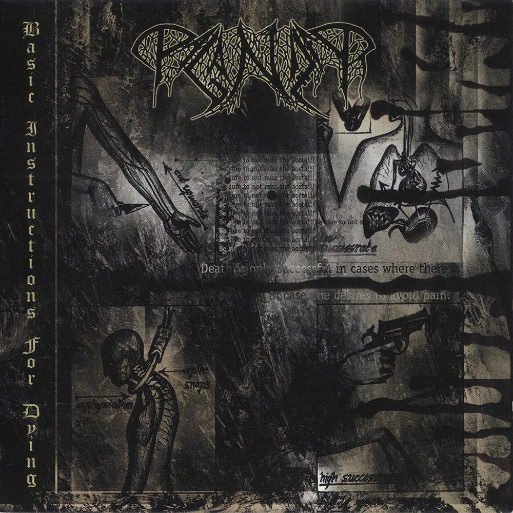 Basic Instructions for Dying cover