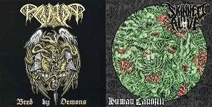 Bred by Demons / Human Landfill cover