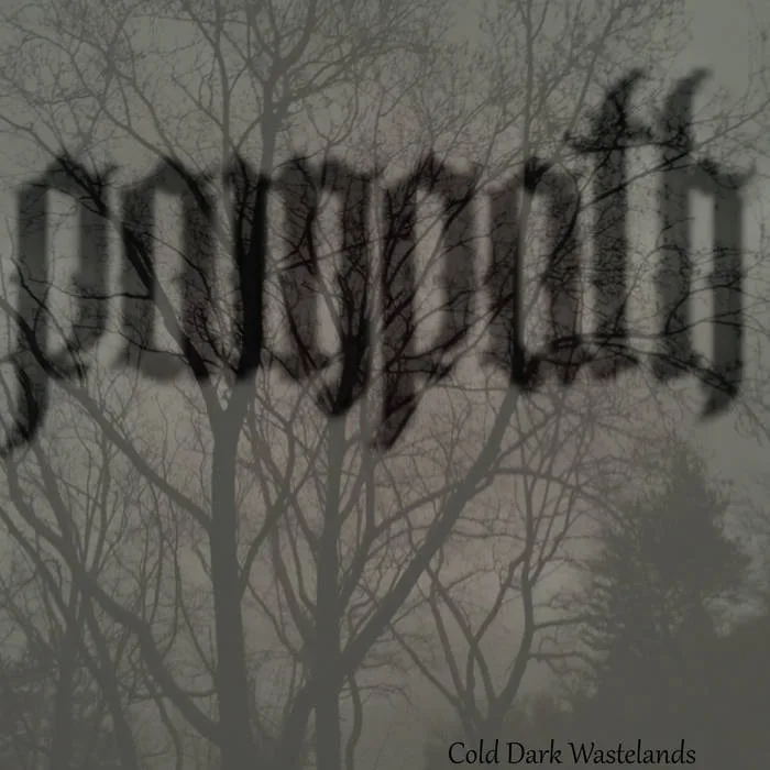 Cold Dark Wastelands cover