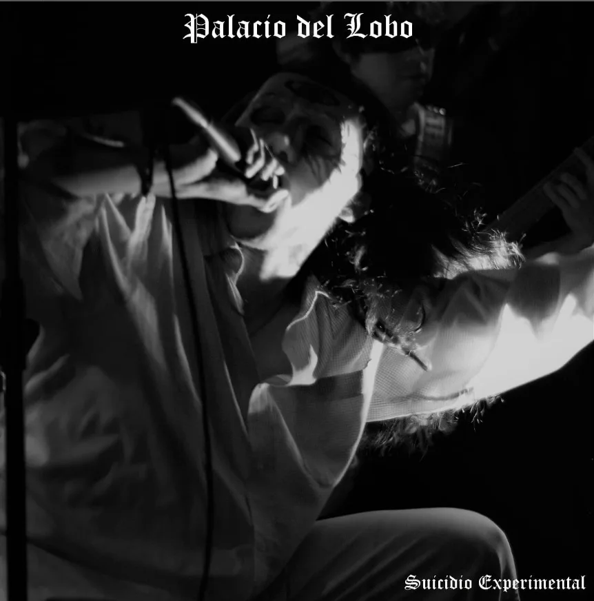 Suicidio Experimental cover