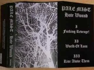 Hate Wound cover