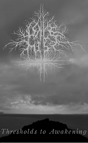 Thresholds to Awakening cover