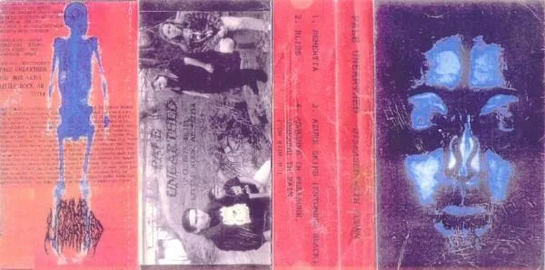 Diseased with Scorn cover