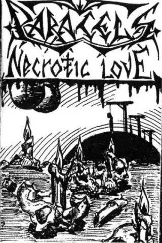 Necrotic Love cover