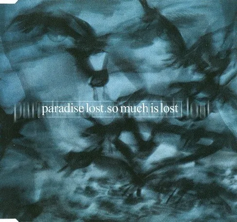 So Much Is Lost cover