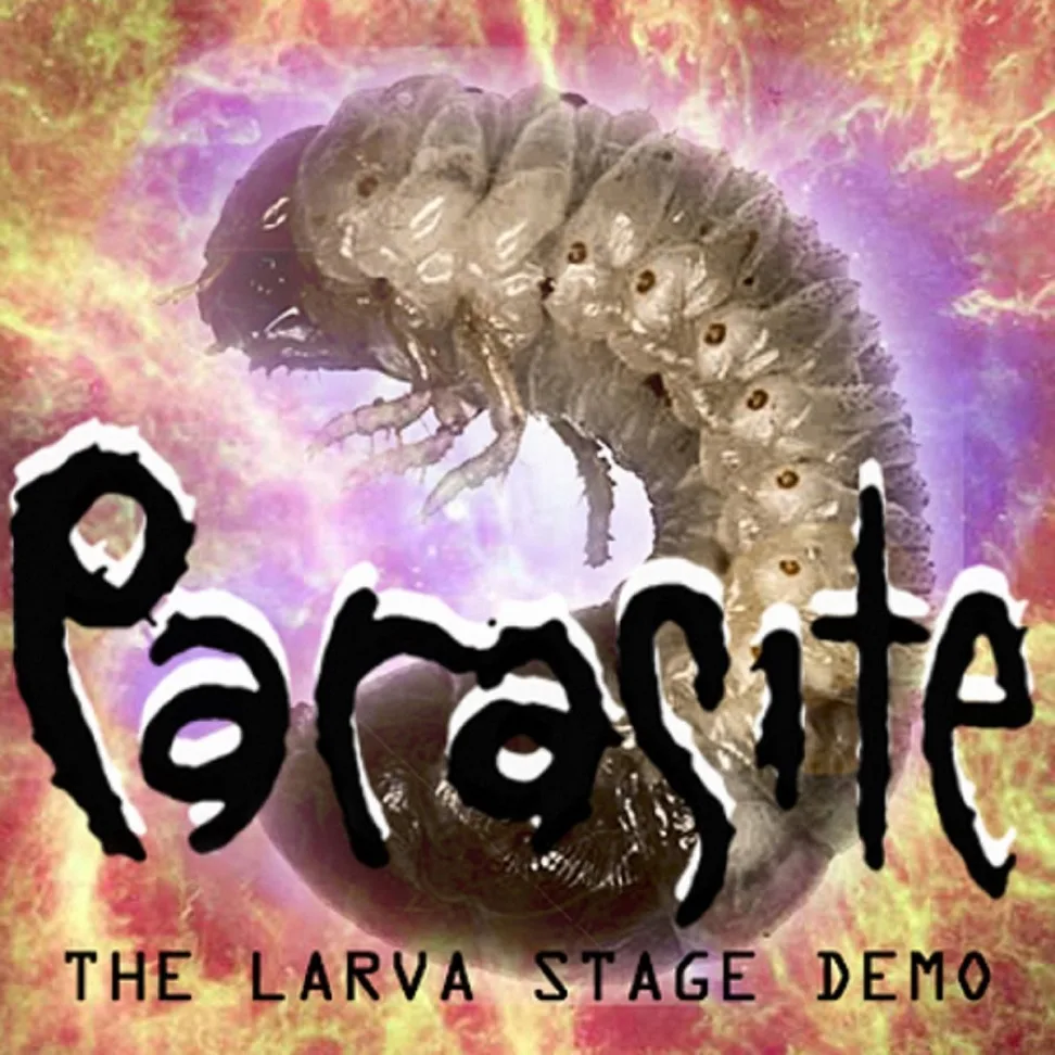 The Larva Stage Demo cover