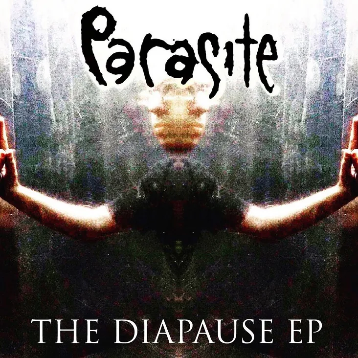 The Diapause cover