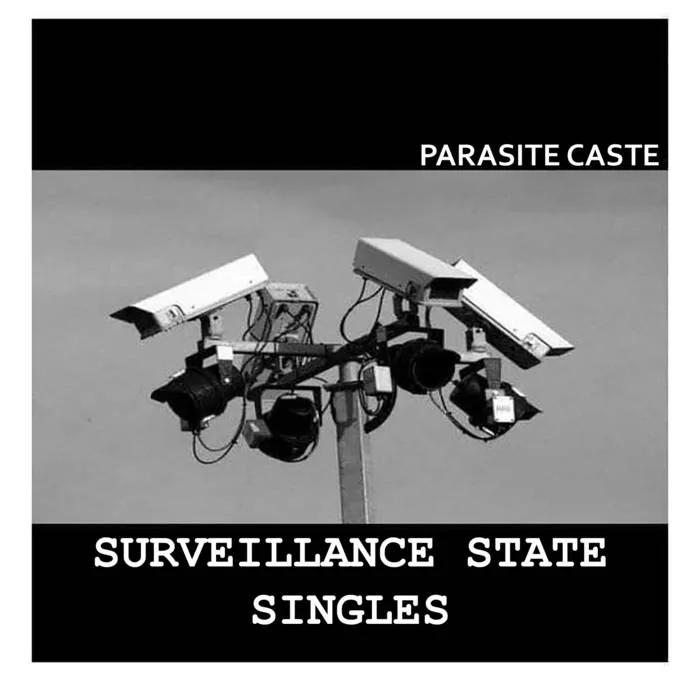Surveillance State cover