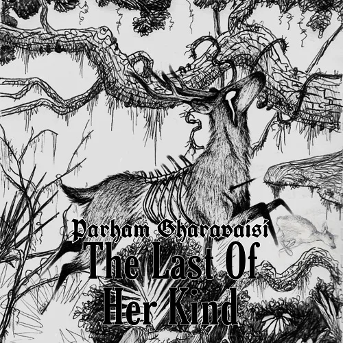 The Last of Her Kind cover