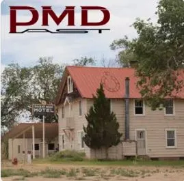 Desert Moon Hotel cover