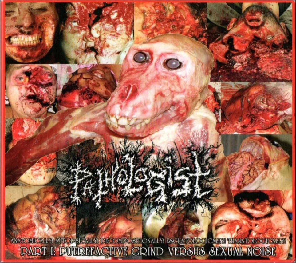 Anatomically! Autopsically! Decompositionally! Eschatologically! Thanatologically! Part I: Putrefactive Grind Versus Sexual Noise cover