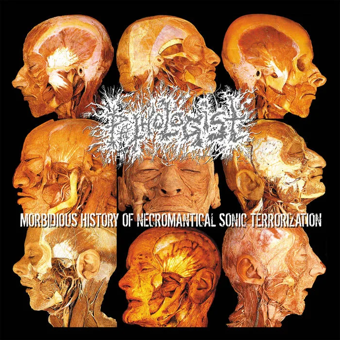 Morbidious History of Necromantical Sonic Terrorization cover