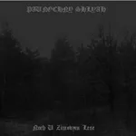 Noch u zimovym lese cover
