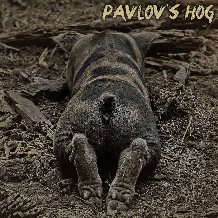 Pavlov's Hog cover