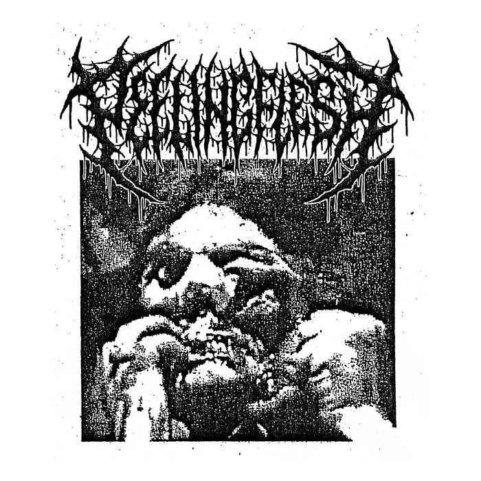 Bathtub Execution cover