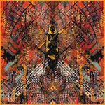 Live in Chicago 06/11/03 cover