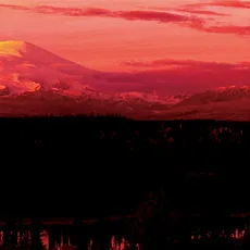 Pelican / Mono cover