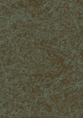 After the Ceiling Cracked cover