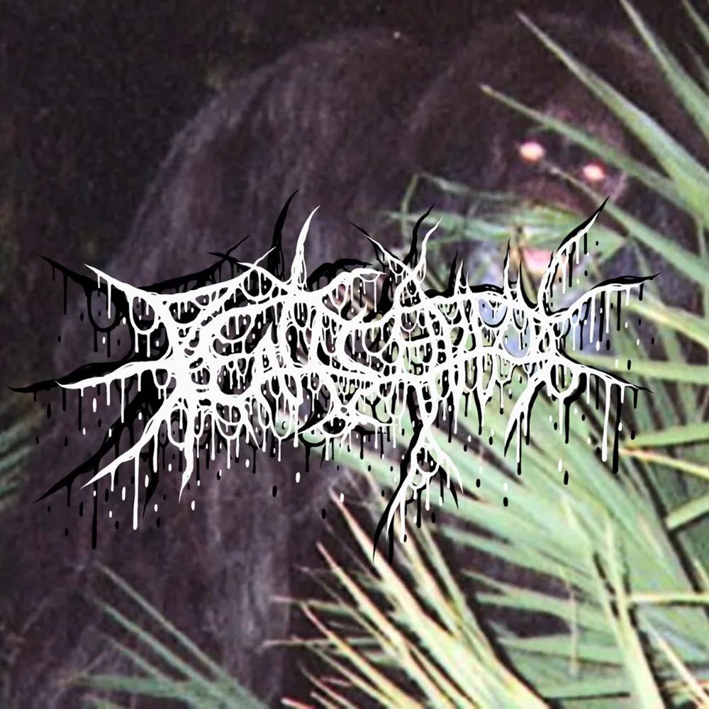 On Earth We're Briefly Gorgeous cover