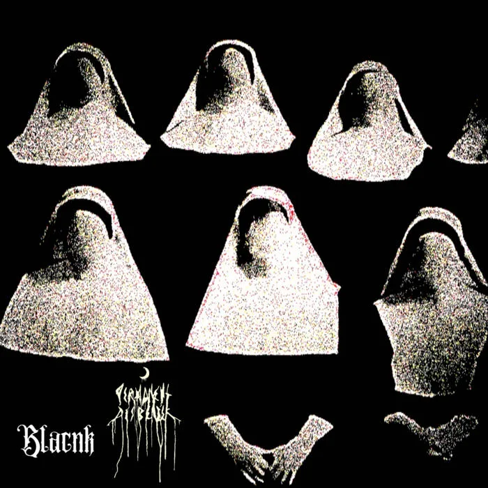 Blacnk / Permanent Disbelief cover