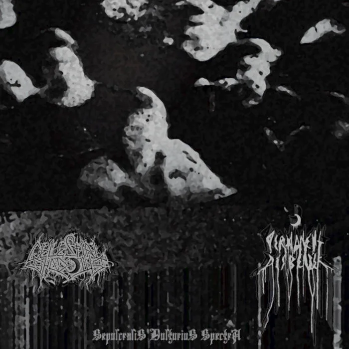 Sepulcralis Vulturius Spectra cover