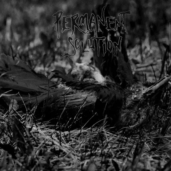 Permanent Solution cover