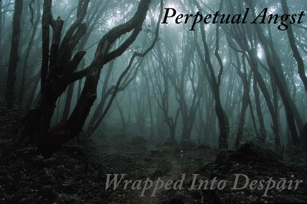 Wrapped into Despair cover
