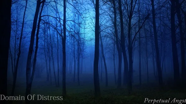 Domain of Distress cover