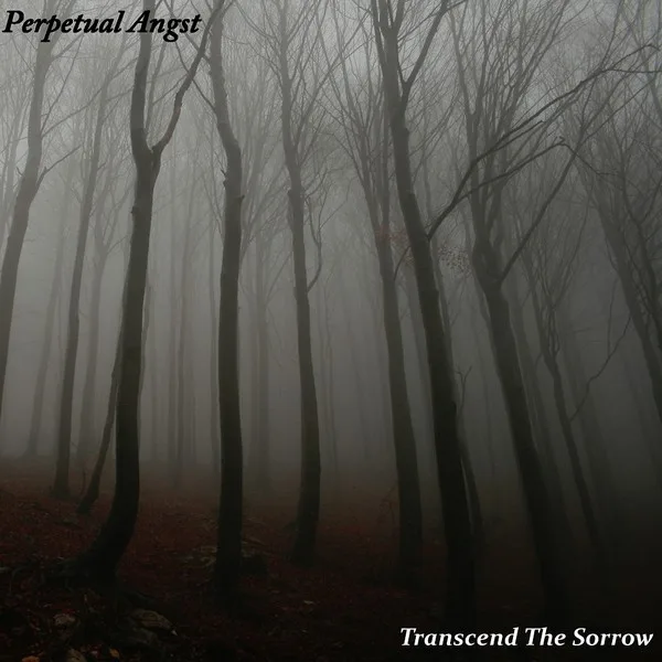 Transcend the Sorrow cover