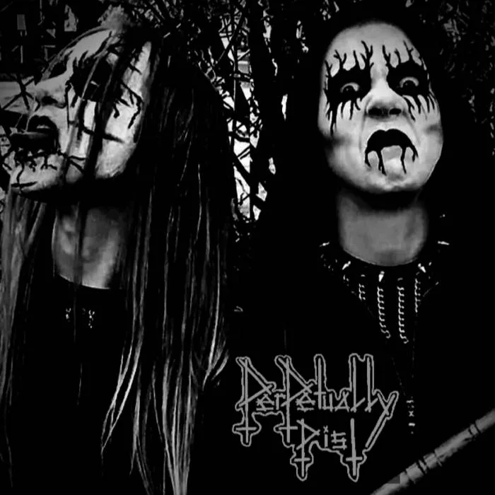 All I Need Is We cover