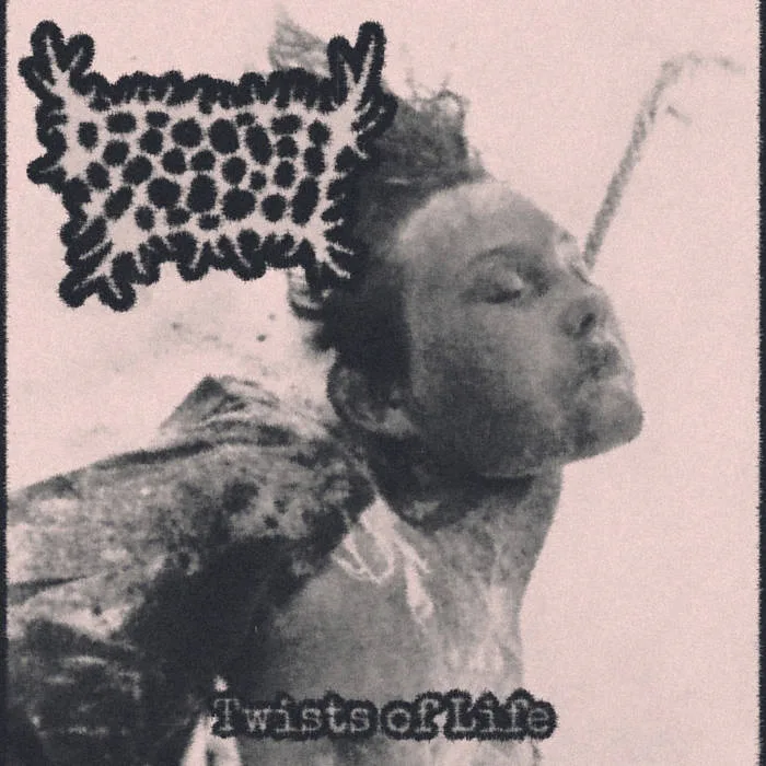 Twists of Life cover