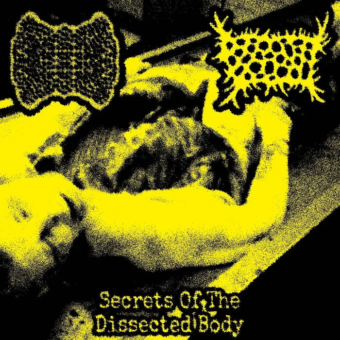 Secrets of the Dissected Body cover