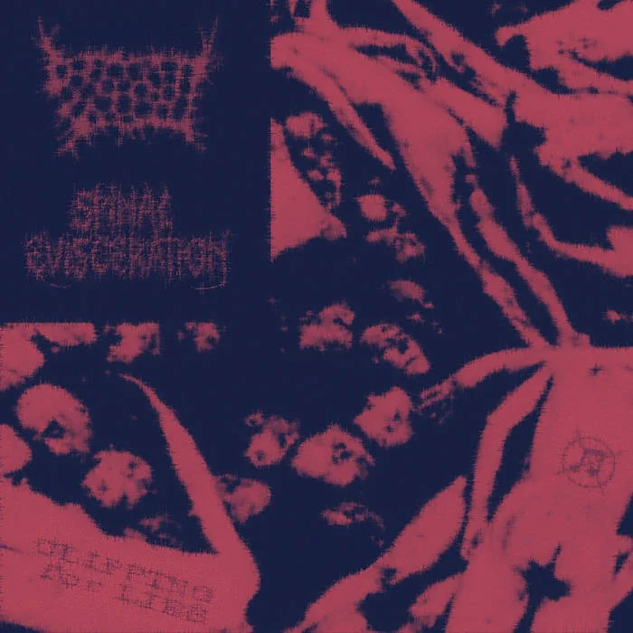 Clipping for Lies cover