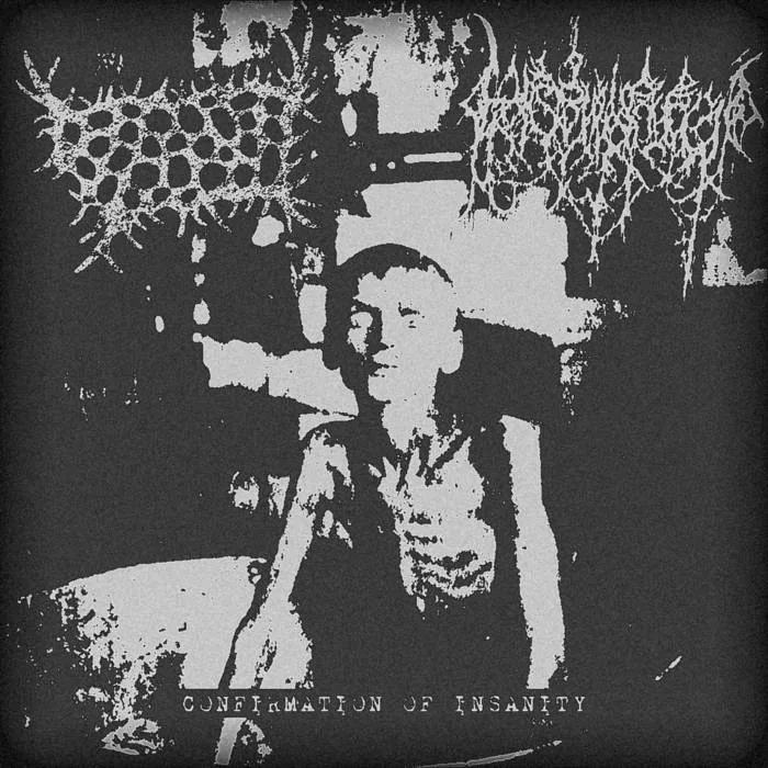 Confirmation of Insanity cover