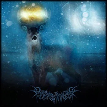 Perverse Imagery cover