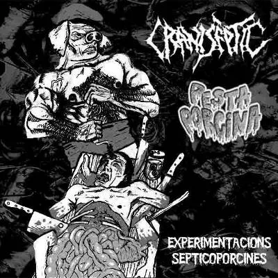 Experimentacions septicoporcines cover