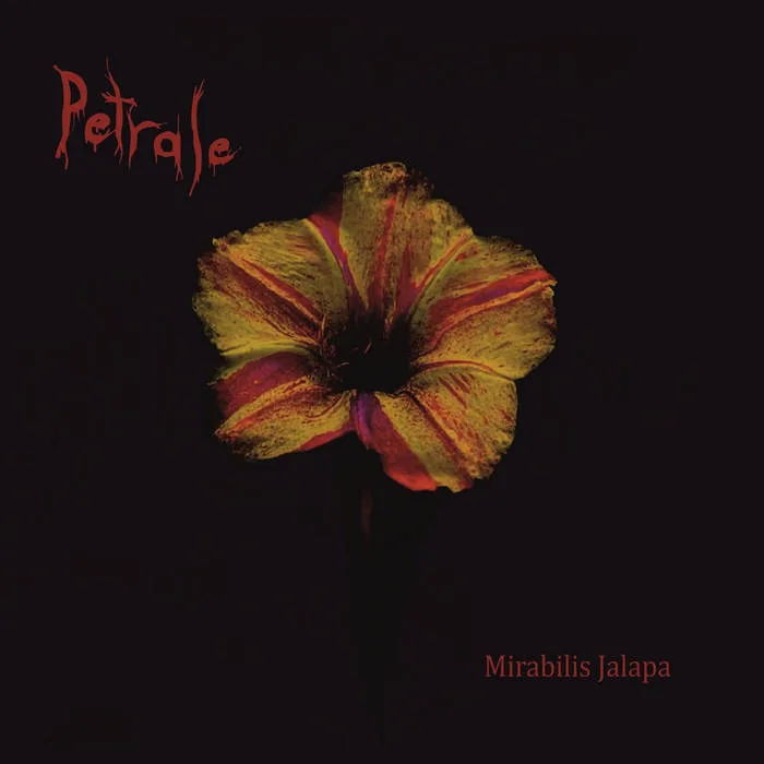 Mirabilis Jalapa cover