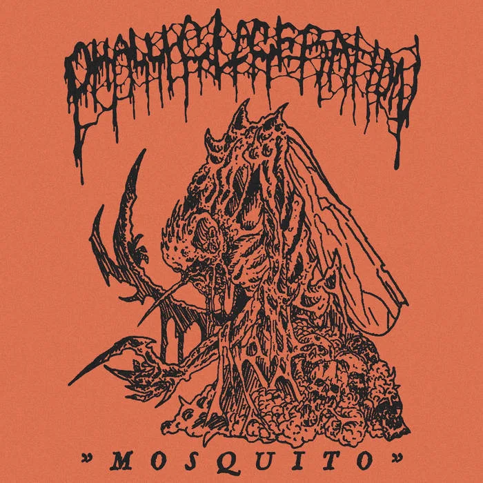 Mosquito cover