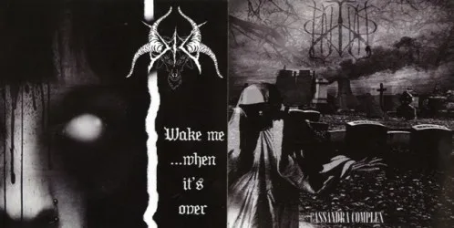 Cassandra Complex / Wake Me... When It's Over cover